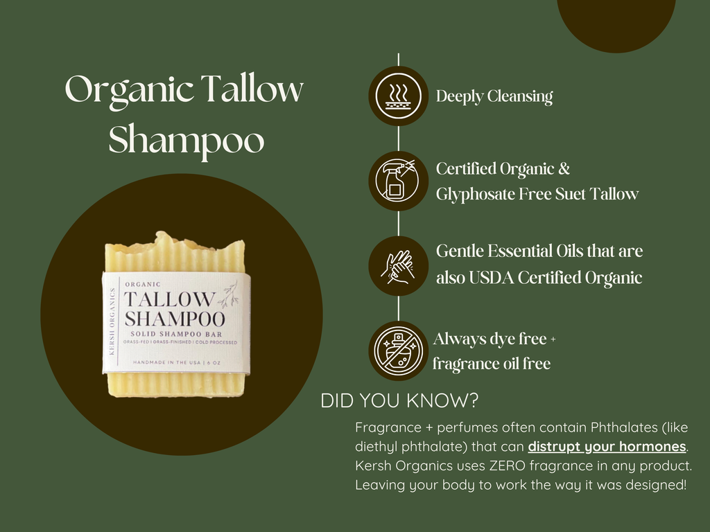 tallow shampoo 